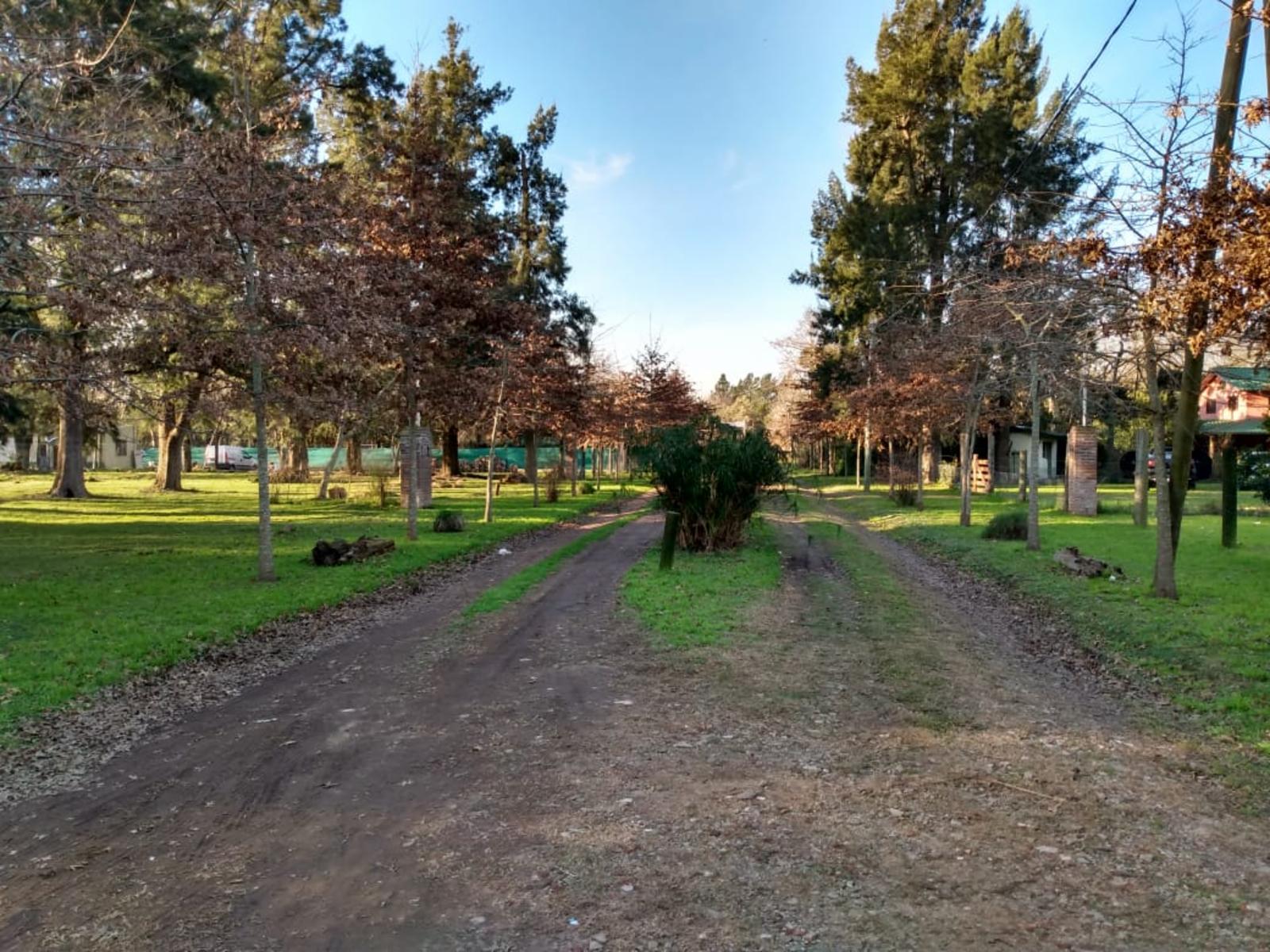 Av.Argentinidad y Padre Fayth · Moreno — foto 11