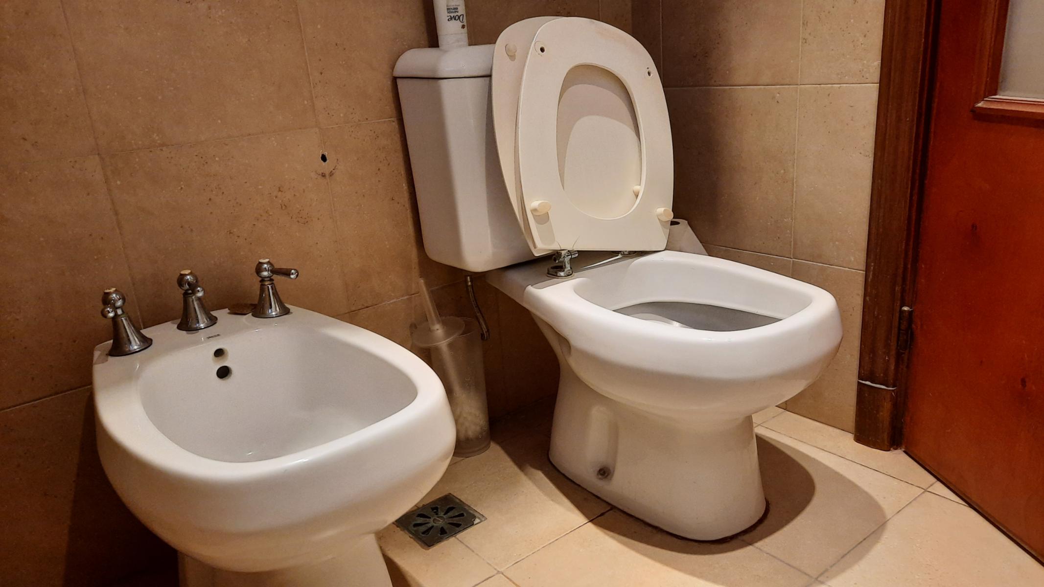 Carola lorenzini 4951 · Moreno — foto 44