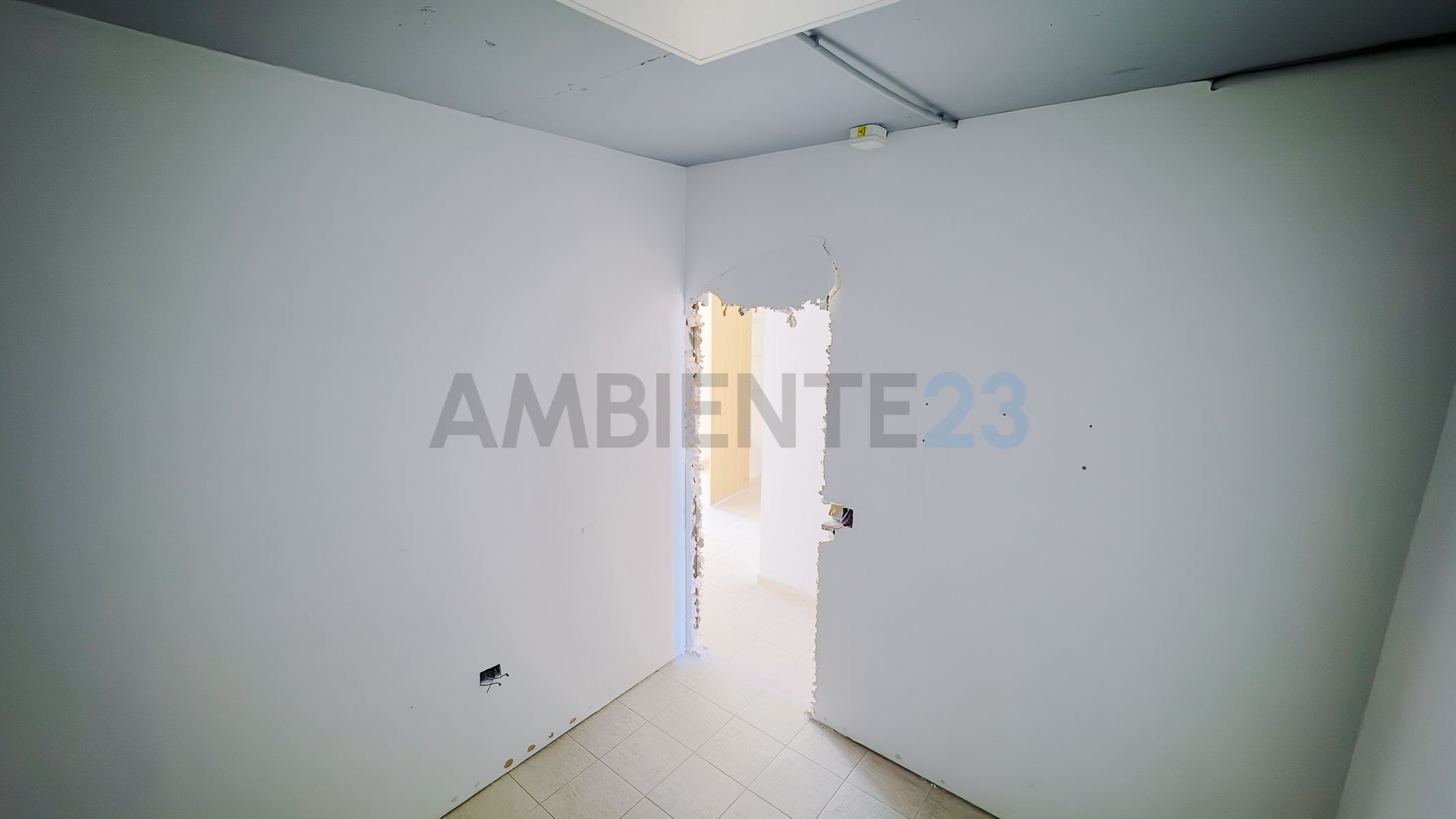 Oro 2700 · Palermo — foto 17