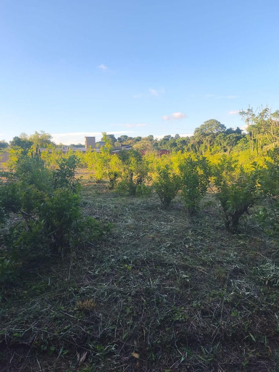 Codigo 230 · Oberá — foto 5