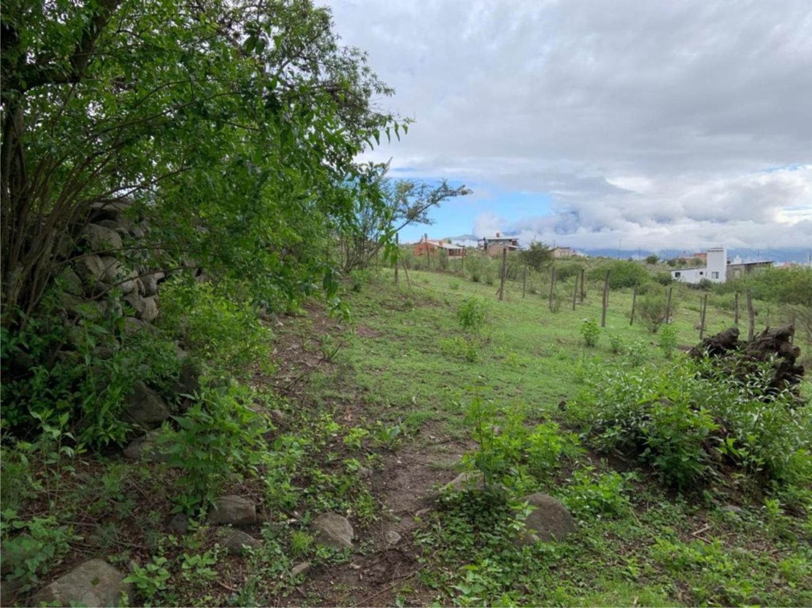 Costas 2 · Tafí del Valle — foto 3