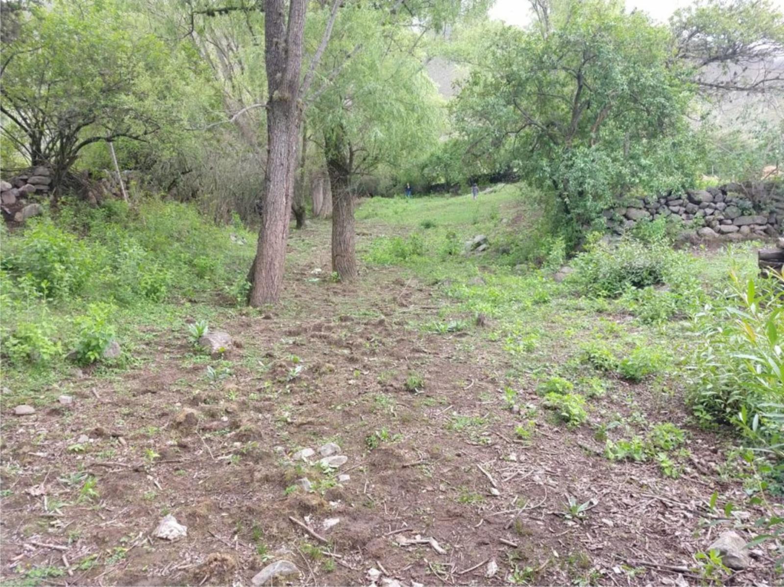 Costas 2 · Tafí del Valle — foto 4