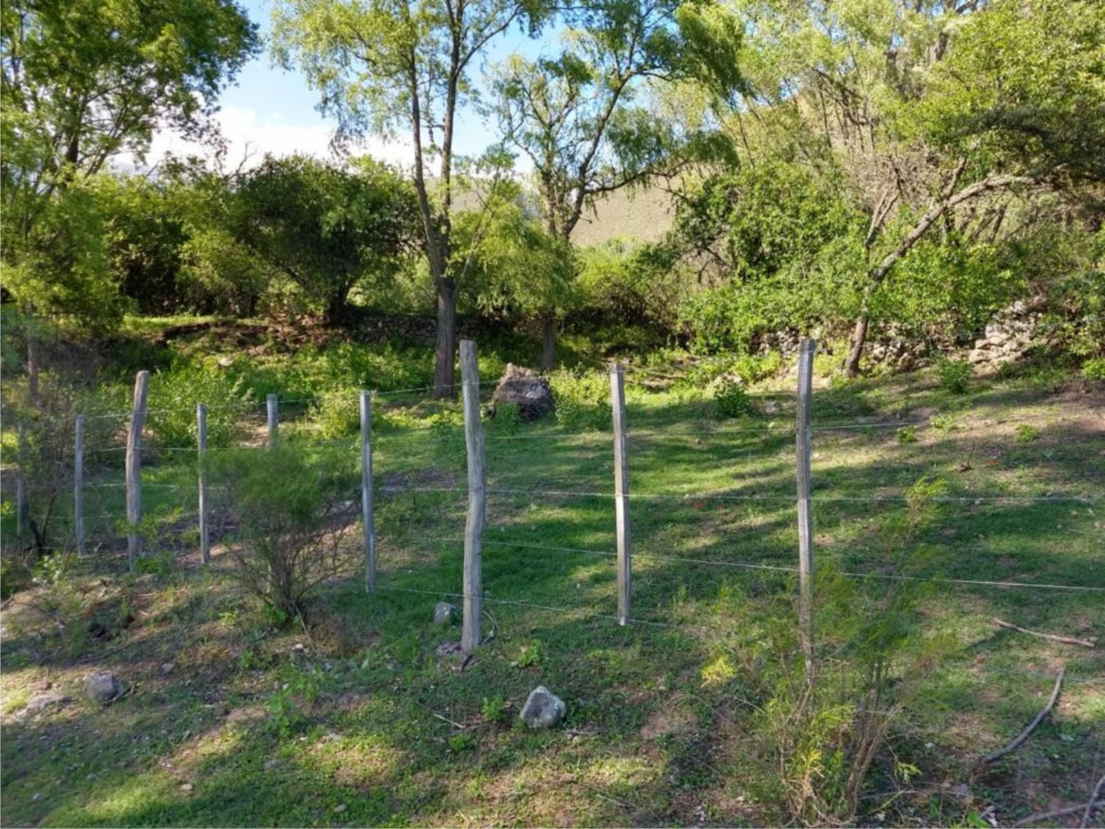 Costas 2 · Tafí del Valle — foto 6
