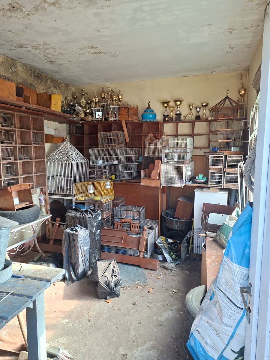 M Dasso · San Martín — foto 17
