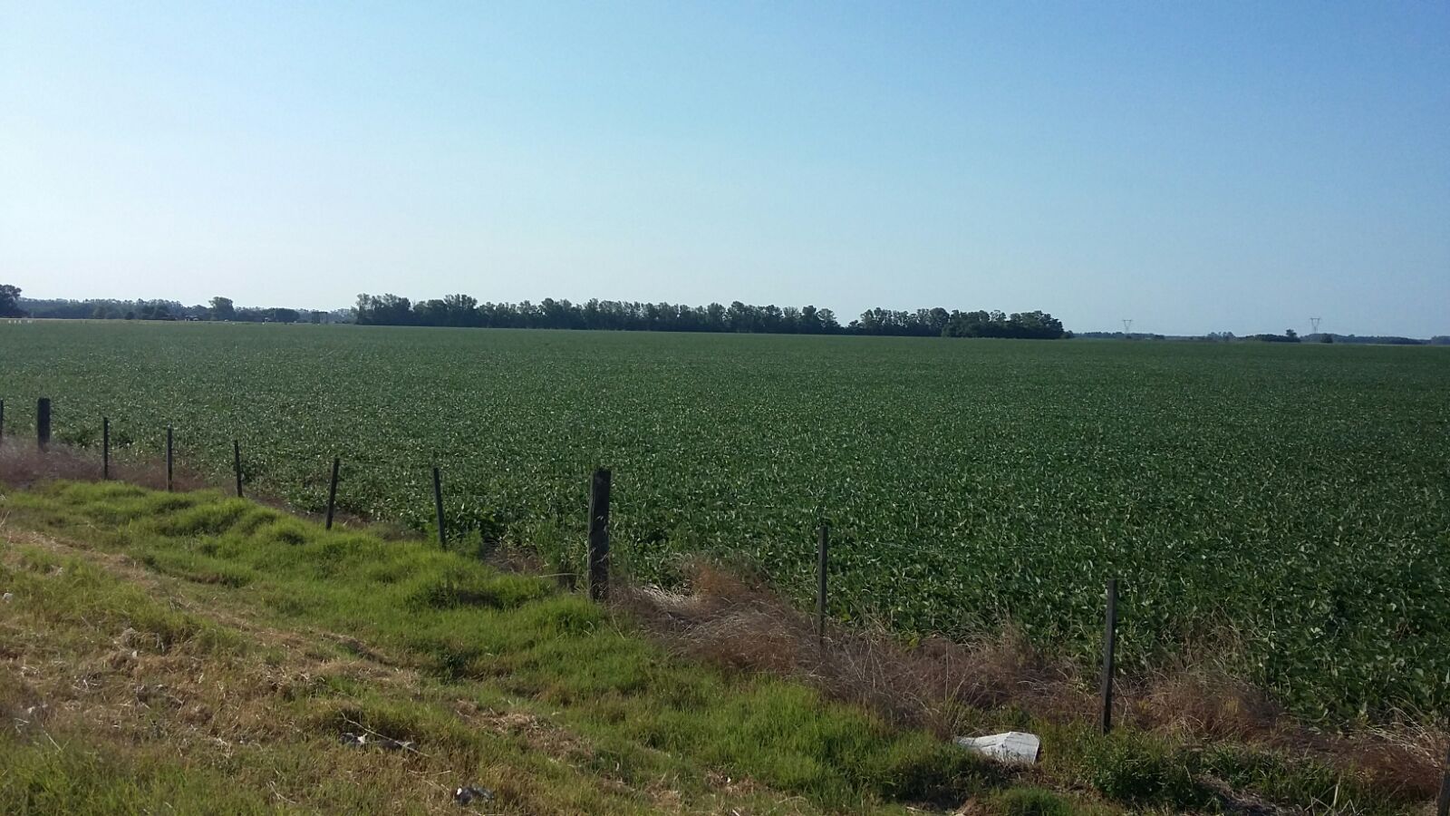 36 HA / 73 HA DE CAMPO EN VENTA - RUTA 9 - BARADERO - 100% AGRICOLAS.
