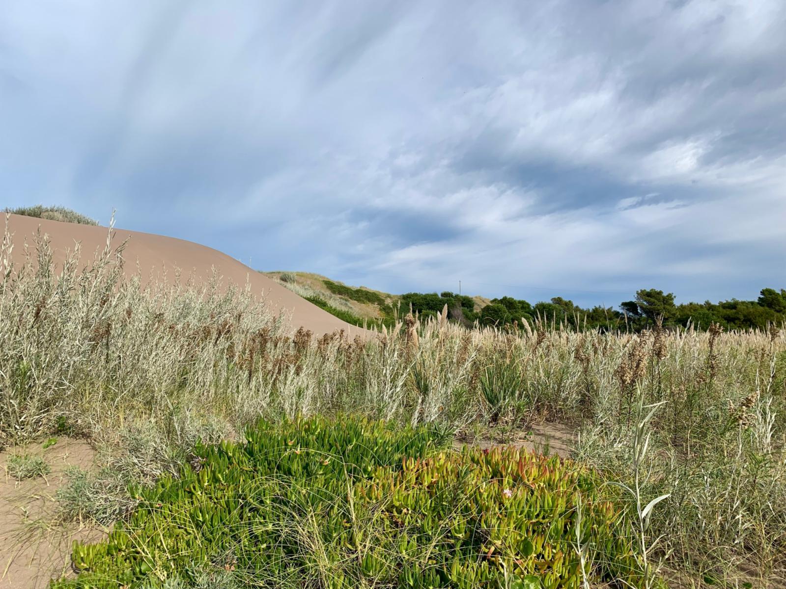 San Bernardo y Las Toninas · Monte Hermoso — foto 3