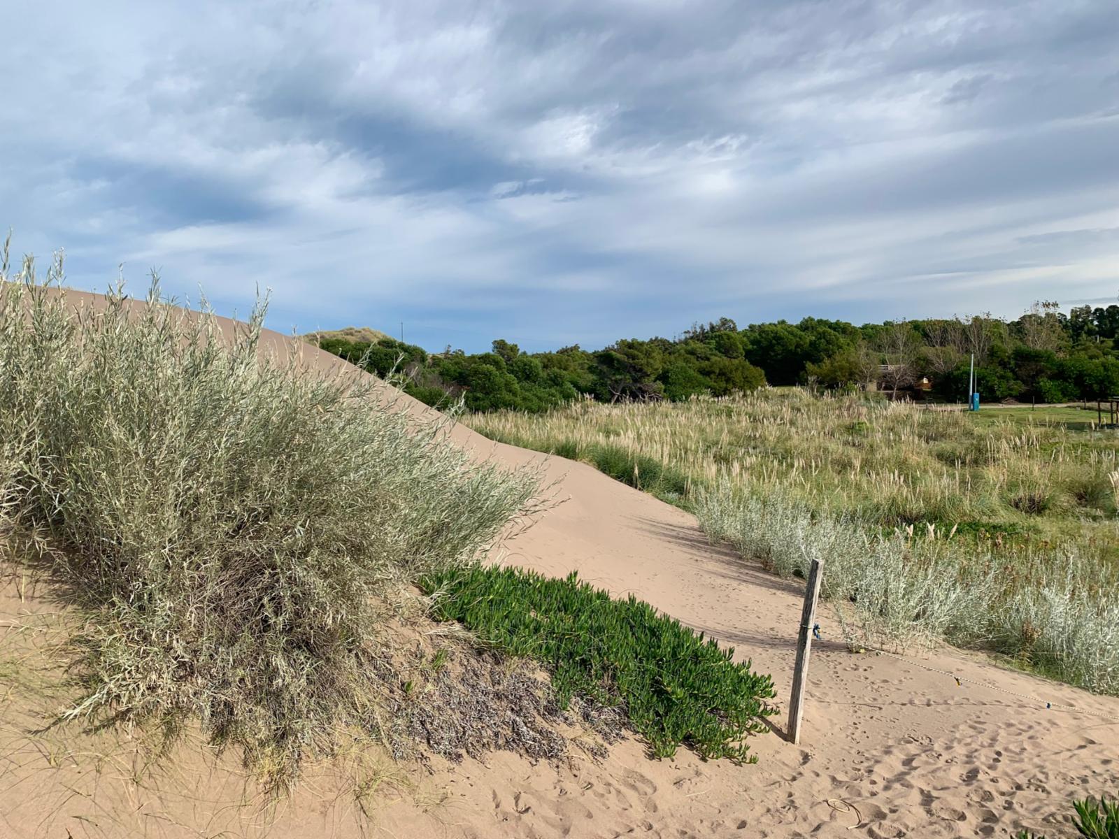 San Bernardo y Las Toninas · Monte Hermoso — foto 4