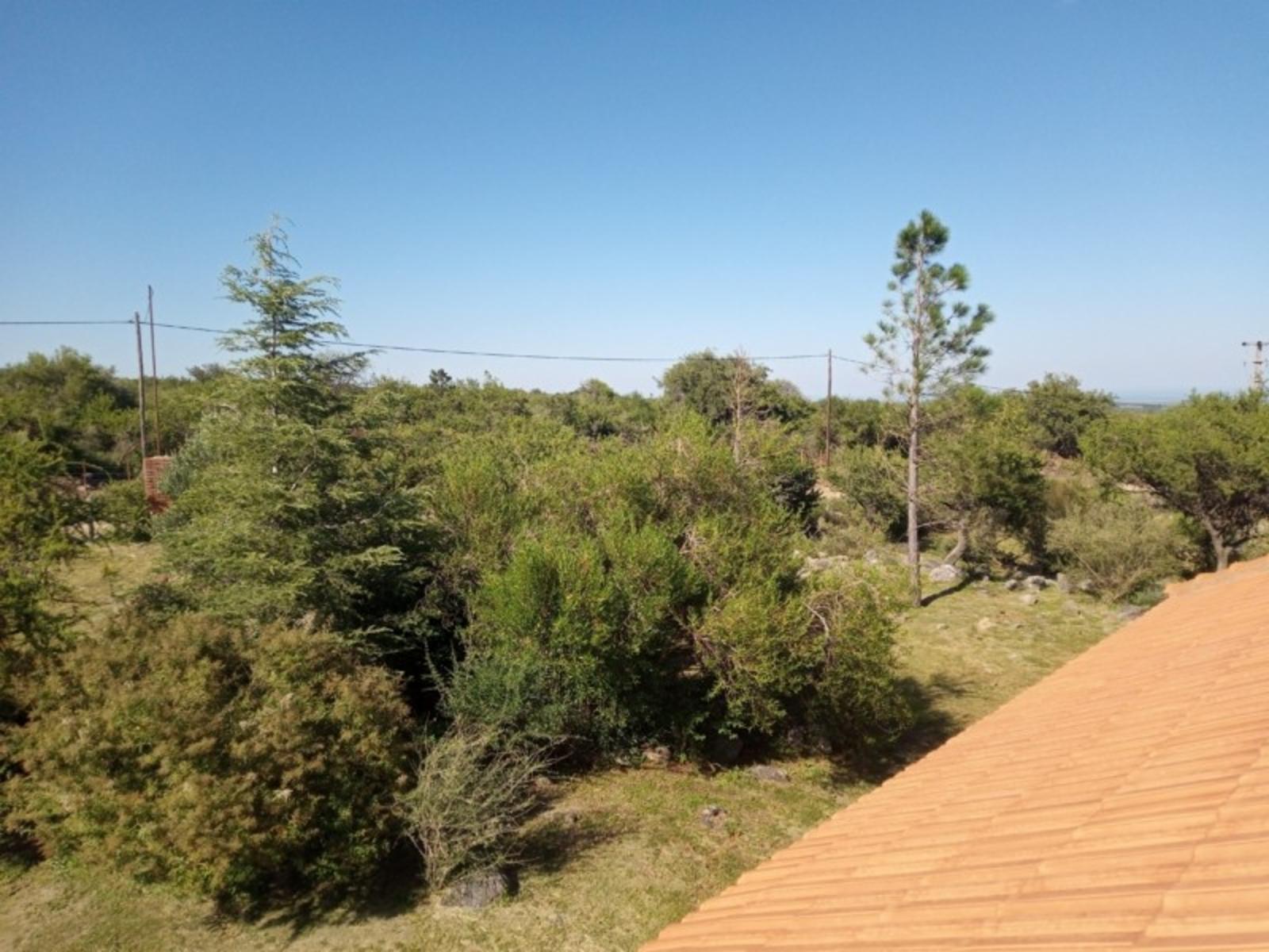 CASA MAS MONOAMBIENTE EN LOS MOLLES, SAN LUIS · Junín — foto 15