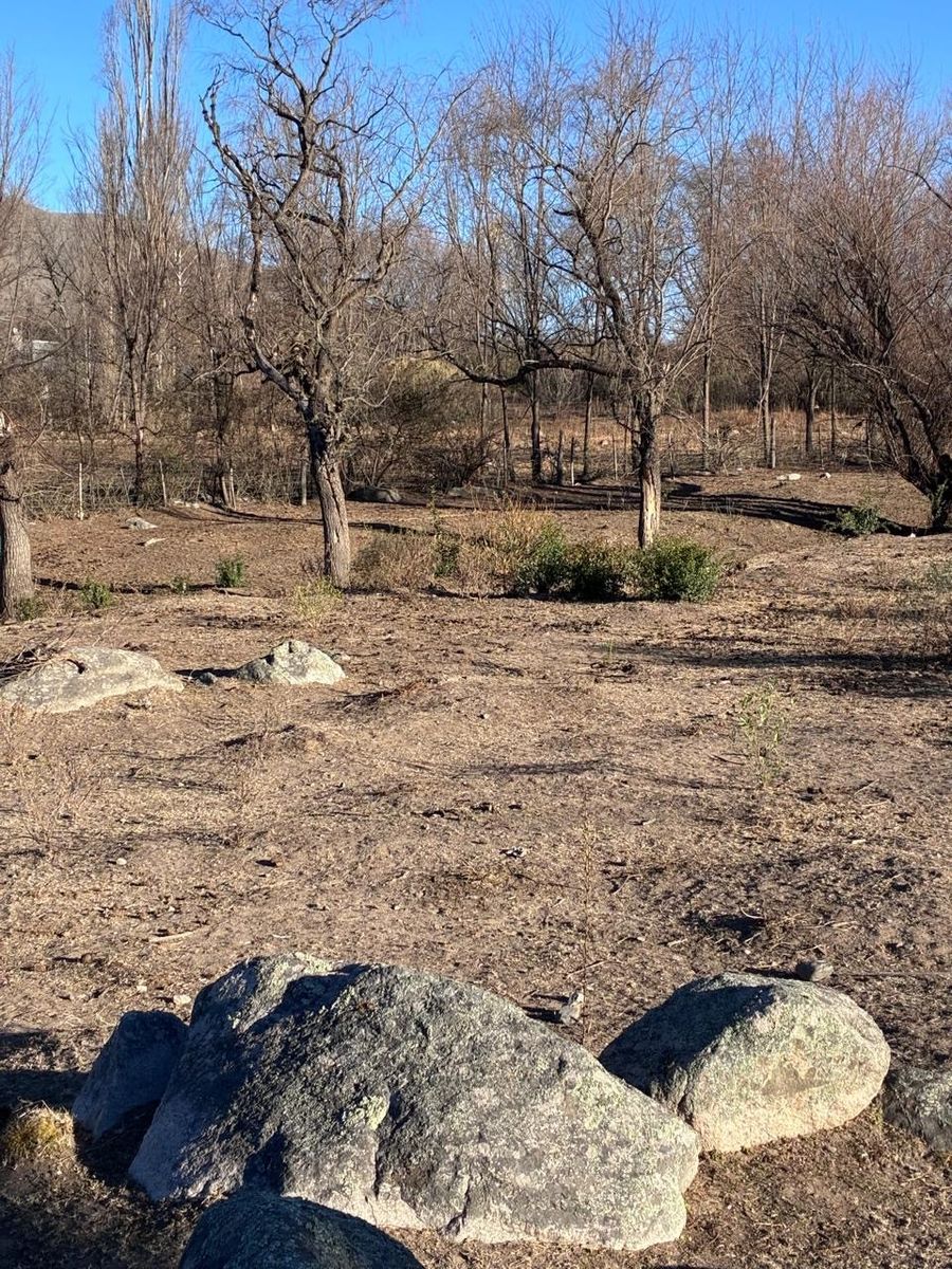 LA OVEJERIA VENDO TERRENOS · Tafí del Valle — foto 3