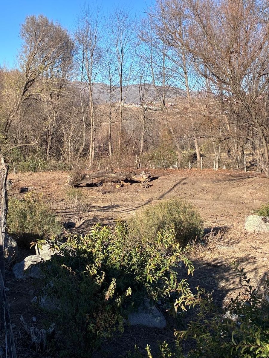 LA OVEJERIA VENDO TERRENOS · Tafí del Valle — foto 4