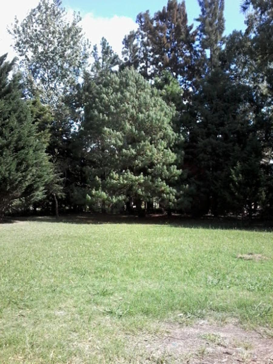 Bufano 4069 · Moreno — foto 4