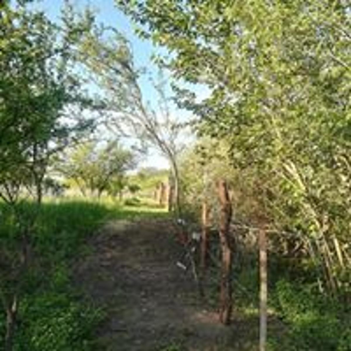 Calle Publica sin numero, Villa de las Rosas · San Javier — foto 5