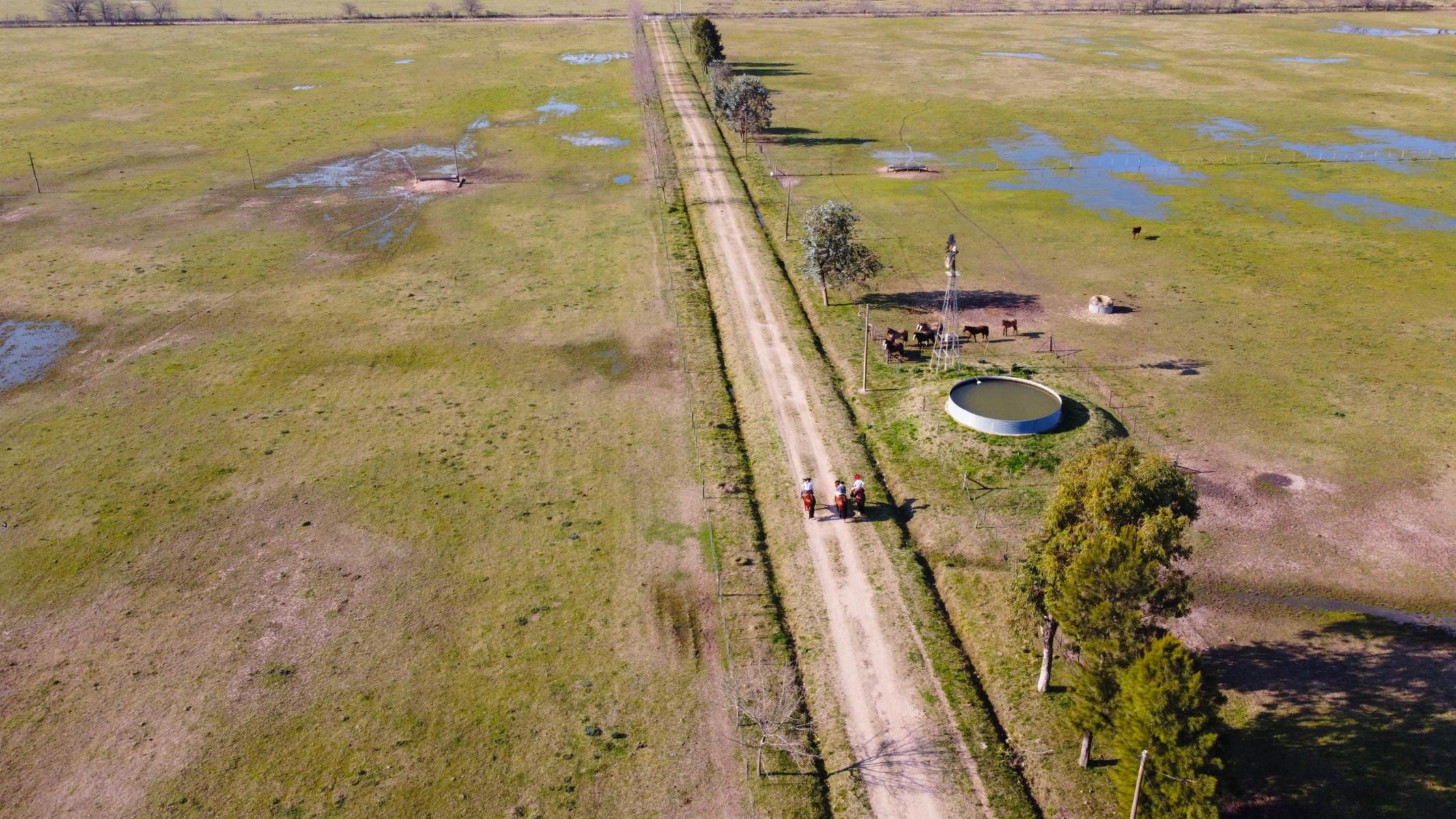 Campo Haras 48 Ha. A 1500 Mts. De Ruta 6 - Marcos Paz