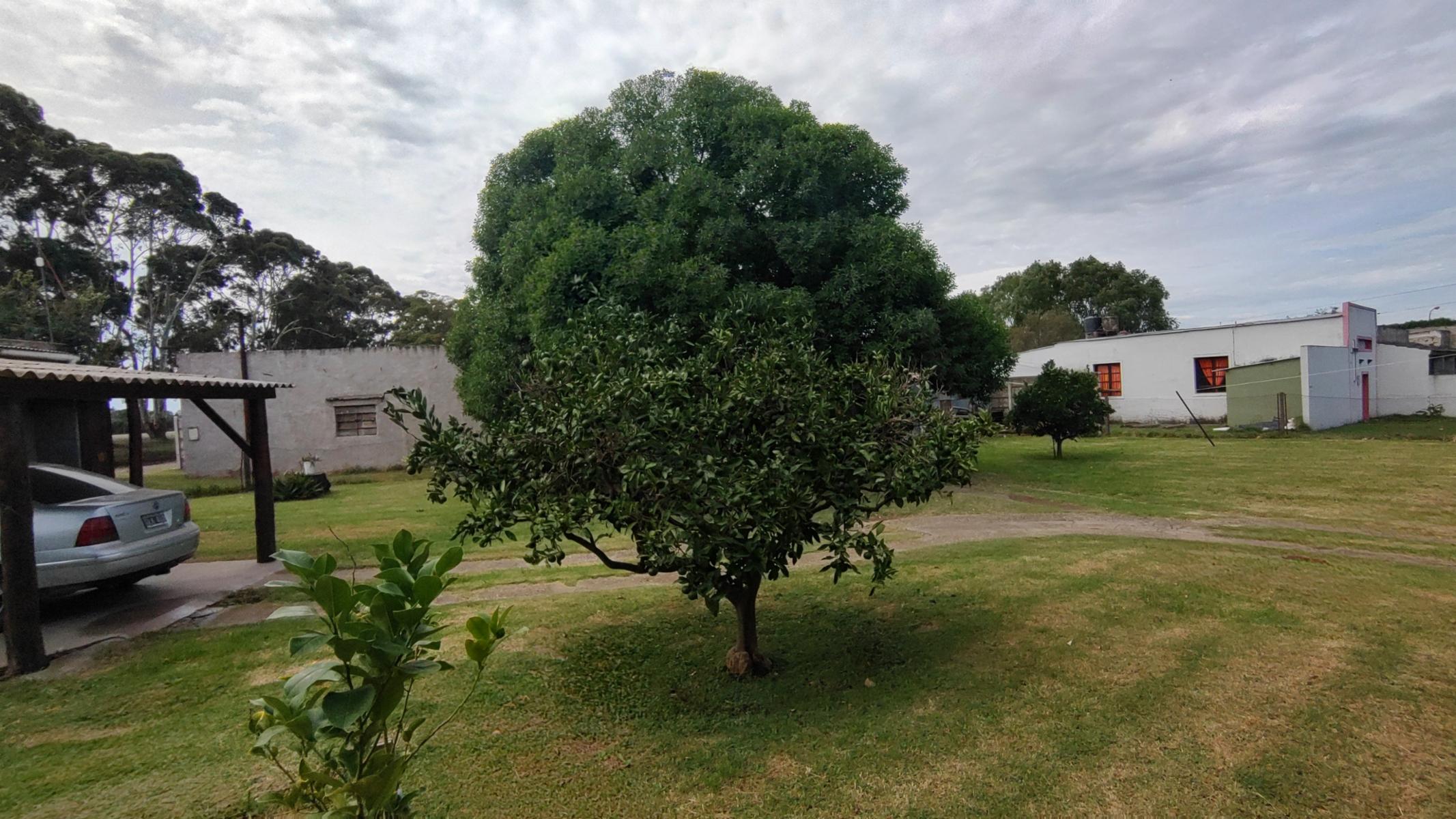 VENDO CASA EN ORENSE (ALBERDI 500) · Tres Arroyos — foto 10