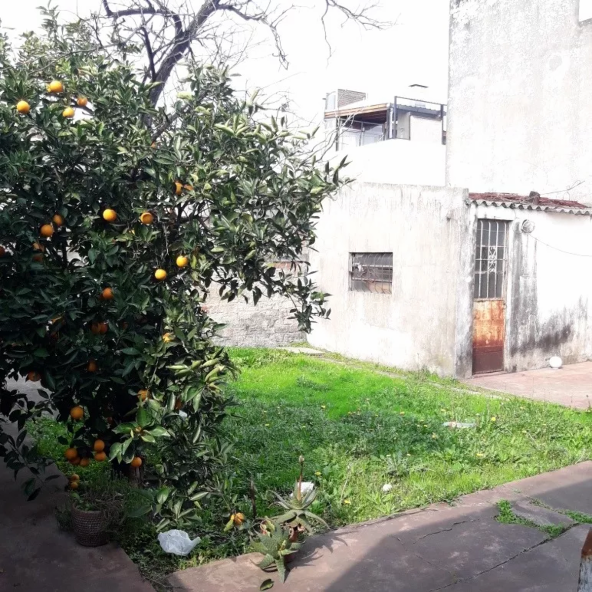 PERIBEBUY 1050 · La Matanza — foto 11