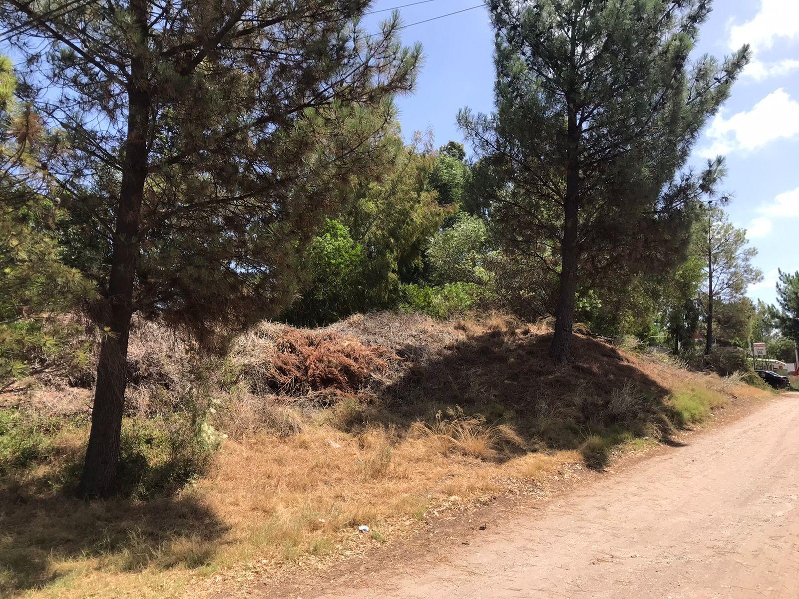 Santa fe y Cordoba · Monte Hermoso — foto 5