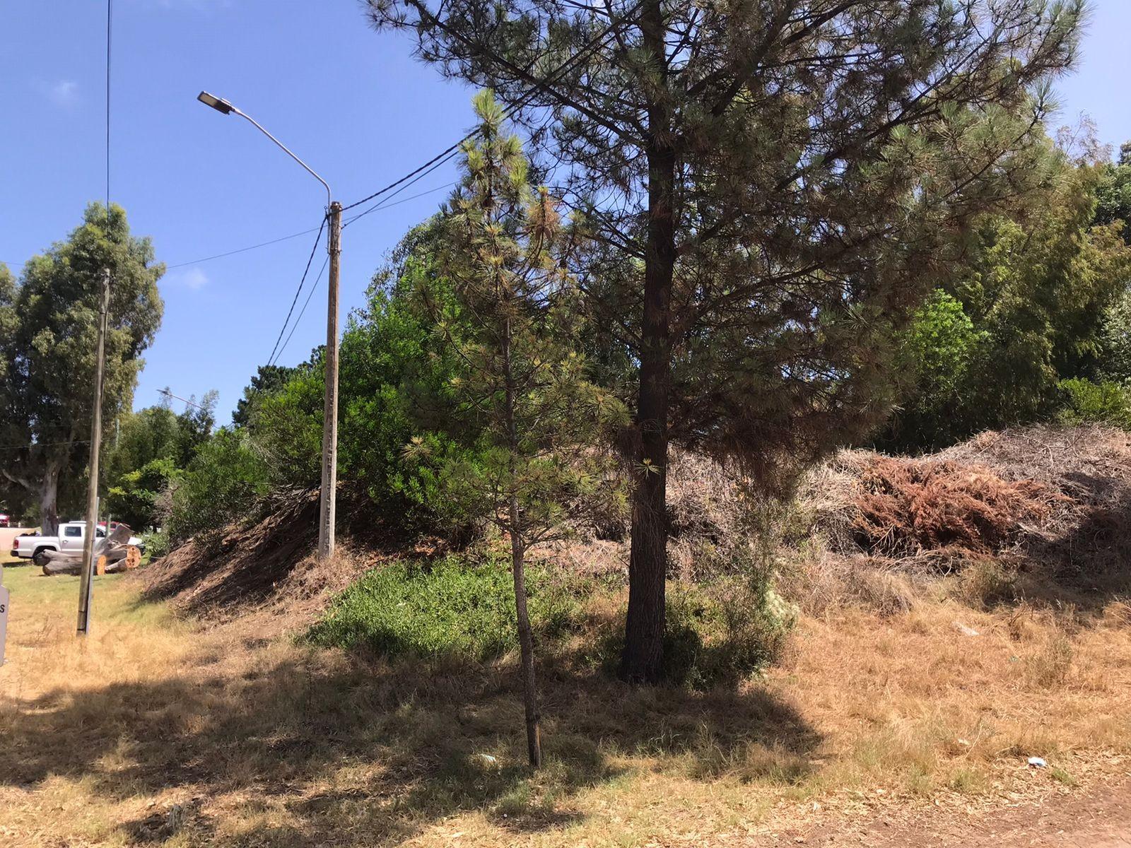 Santa fe y Cordoba · Monte Hermoso — foto 7