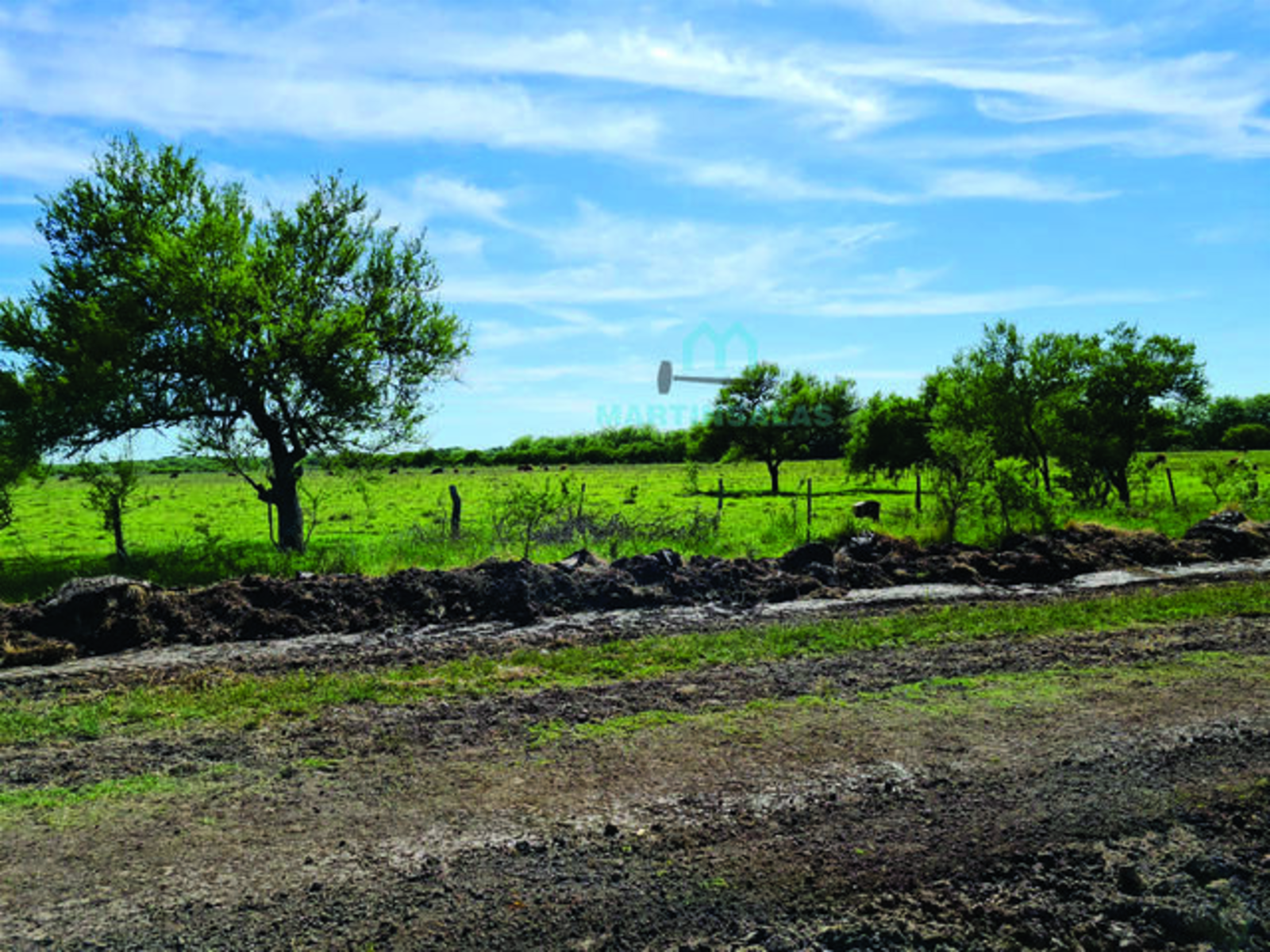 Nogoyá · Nogoyá — foto 3