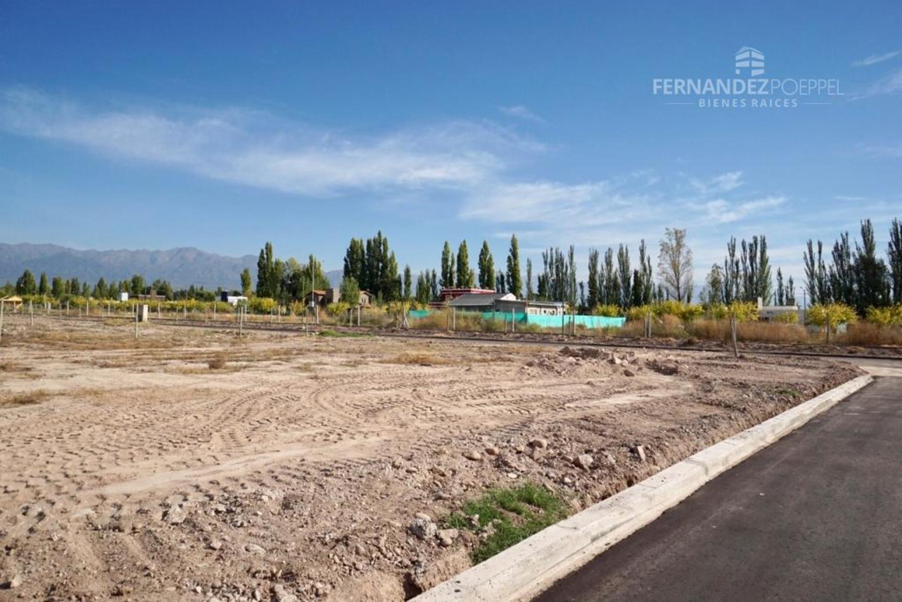 Guardia Vieja 1050 · Luján de Cuyo — foto 20