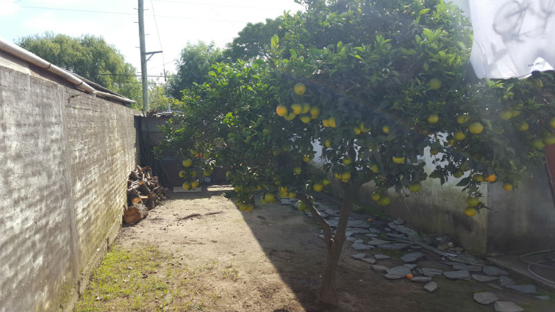 Escobar,Barrio  Las  Lomas,  Santa  Cruz,  Esquina San  Isidro · Escobar — foto 4