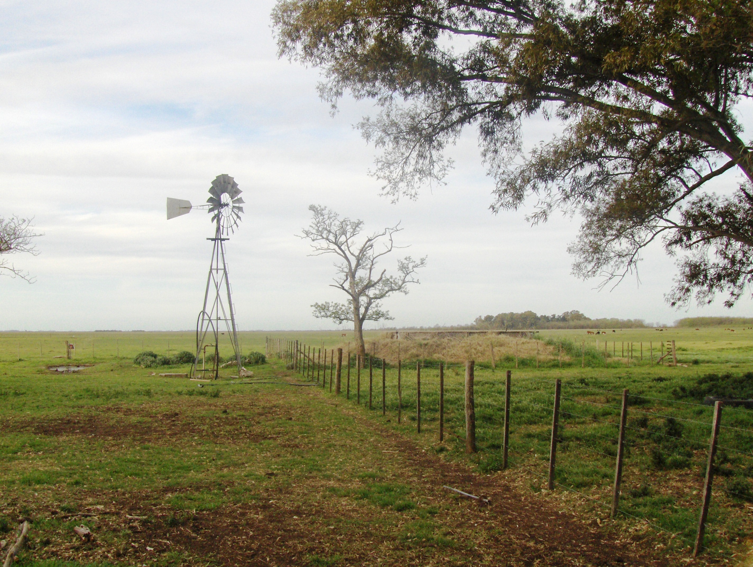 Ruta 3 km 220, a 12km de ruta · Las Flores — foto 16