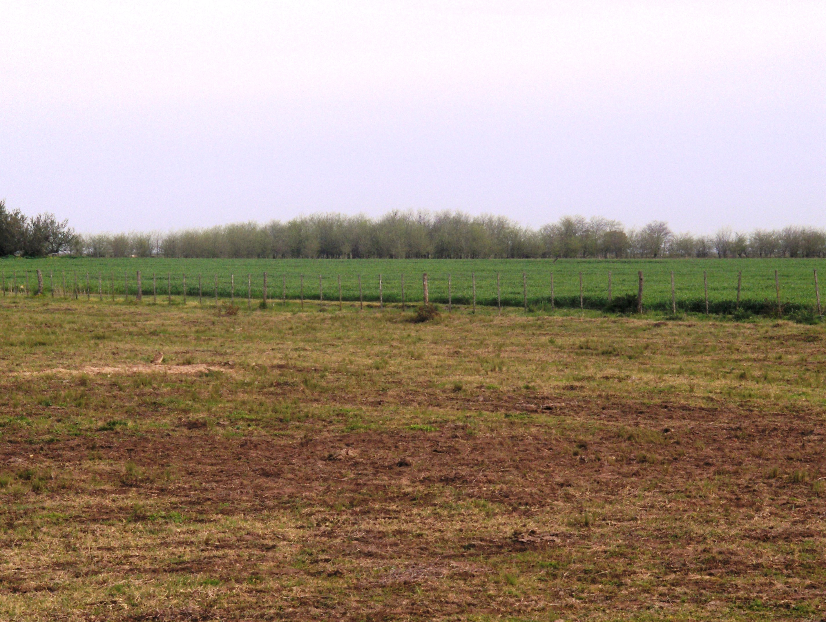 Ruta 3 km 220, a 12km de ruta · Las Flores — foto 6