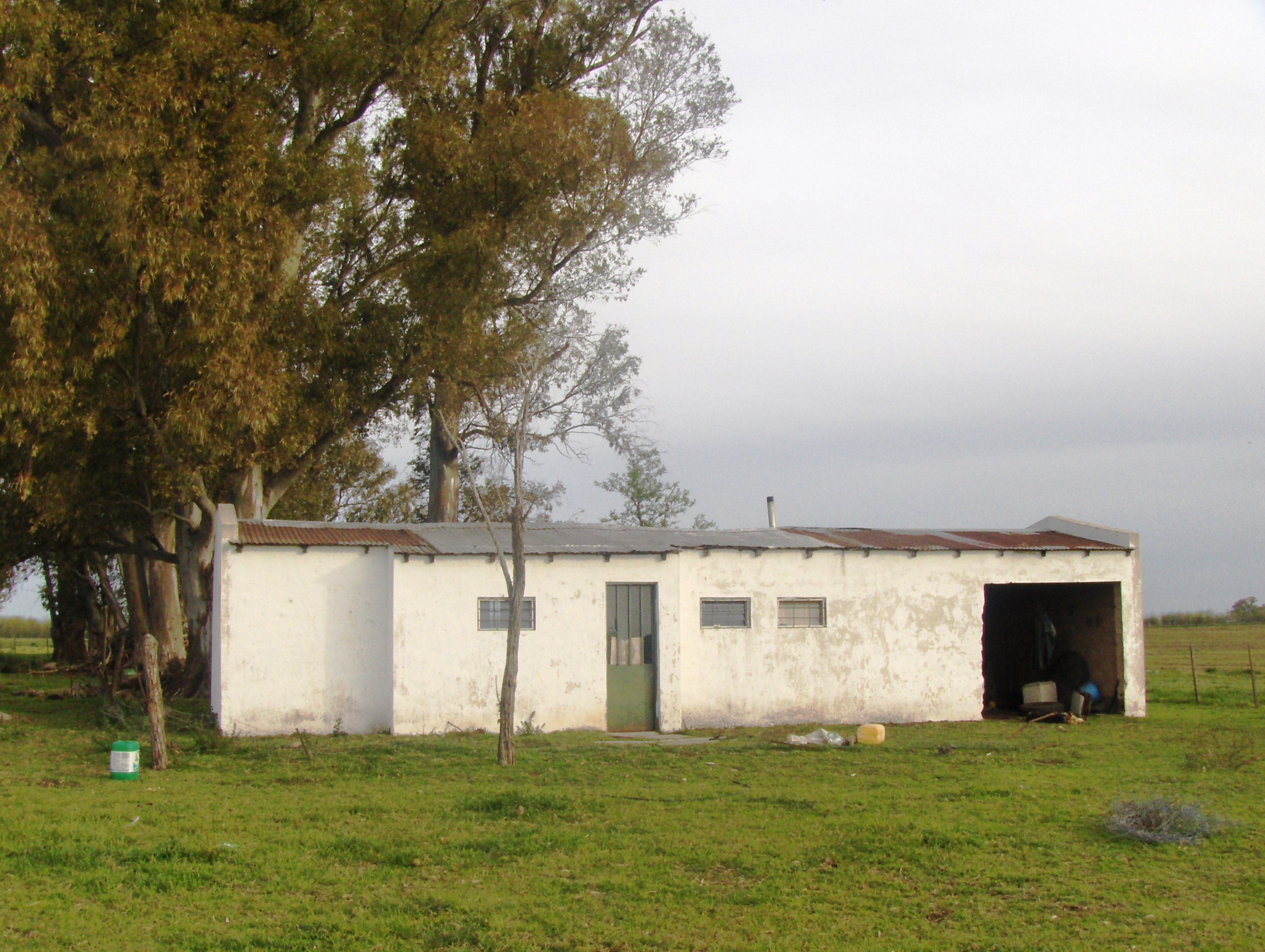 Ruta 3 km 220, a 12km de ruta · Las Flores — foto 9