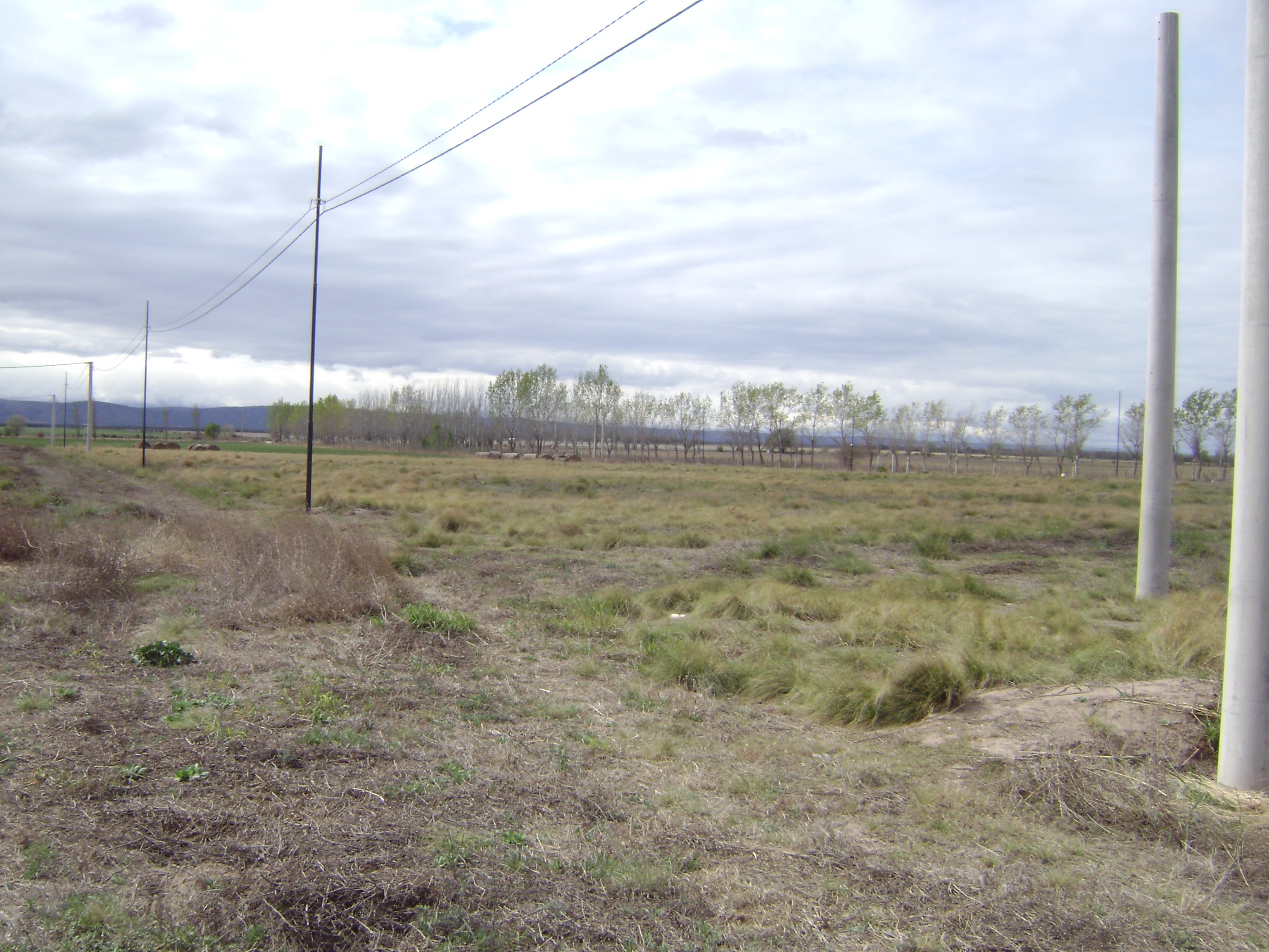 Autopista Provincial N° 55 · Chacabuco — foto 3