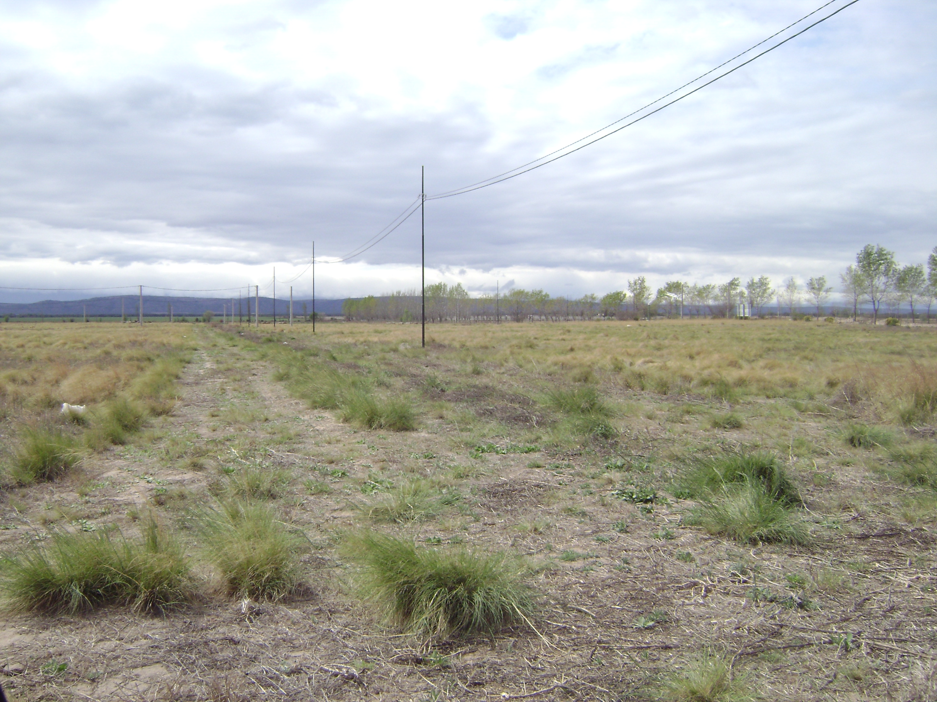 Autopista Provincial N° 55 · Chacabuco — foto 4