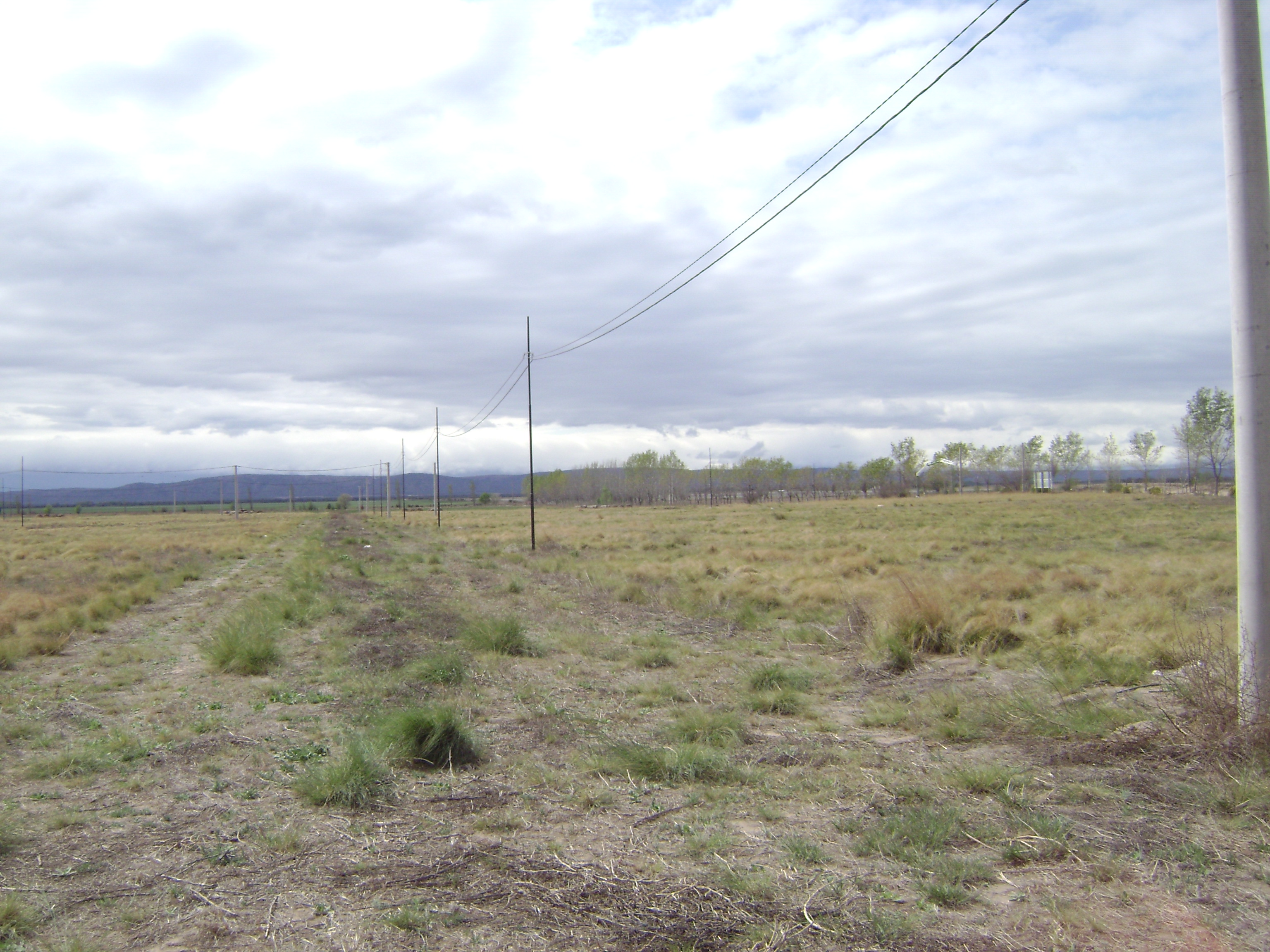 Autopista Provincial N° 55 · Chacabuco — foto 5