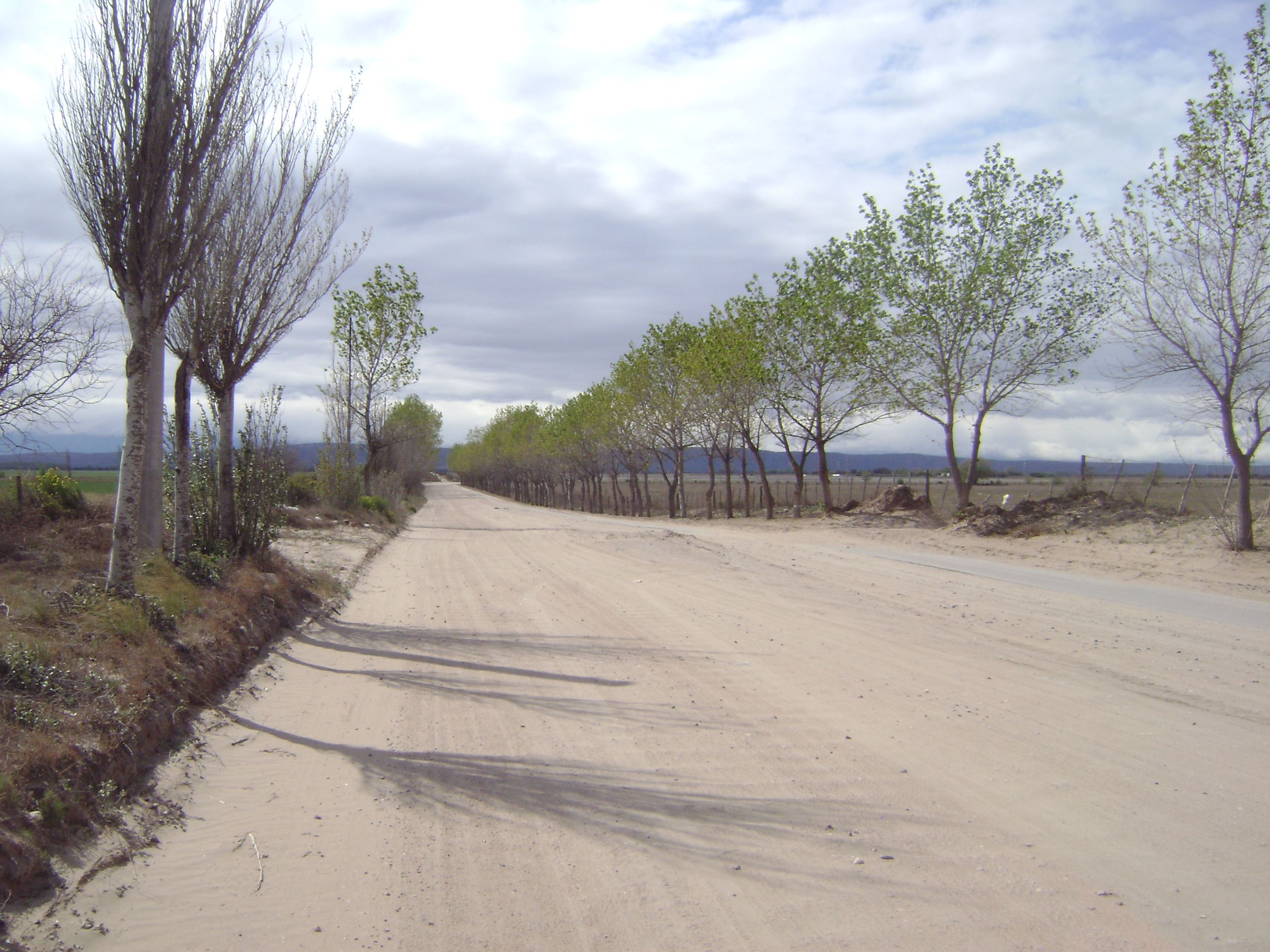 Autopista Provincial N° 55 · Chacabuco — foto 7