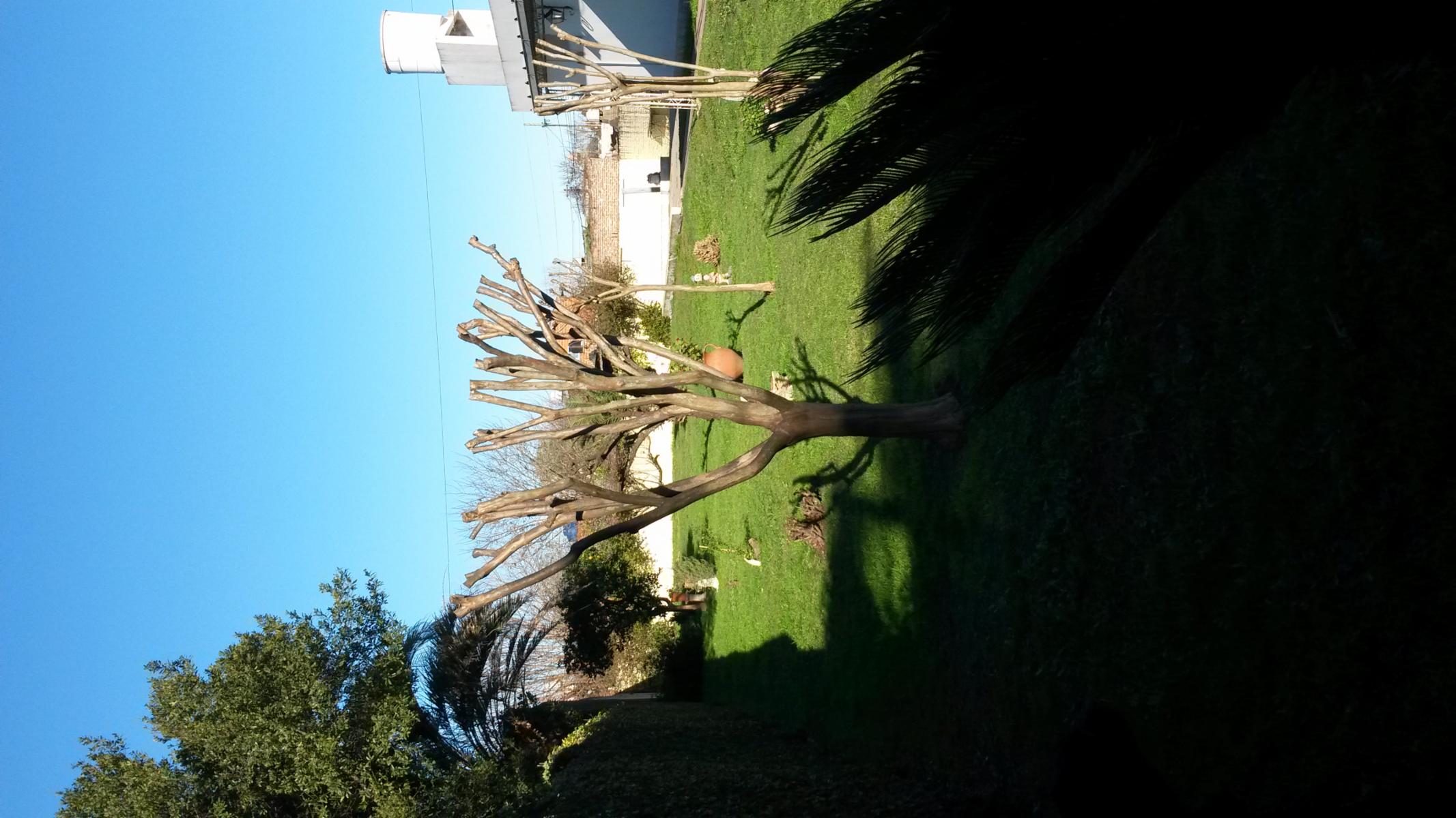 LOTE EN SAN MIGUEL APTO CREDITO