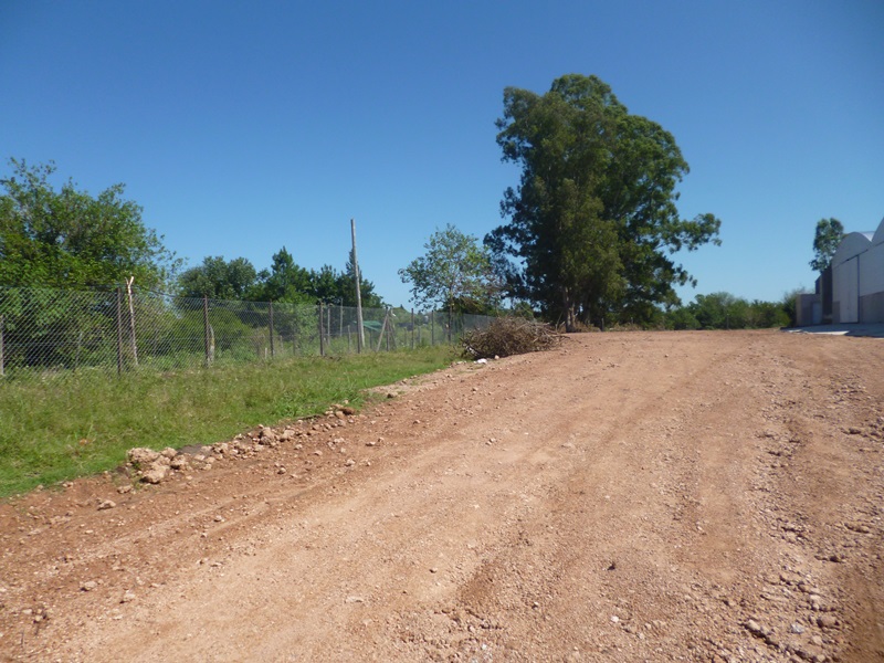 SARMIENTO Y 29 DEL OESTE SUR · Uruguay — foto 4