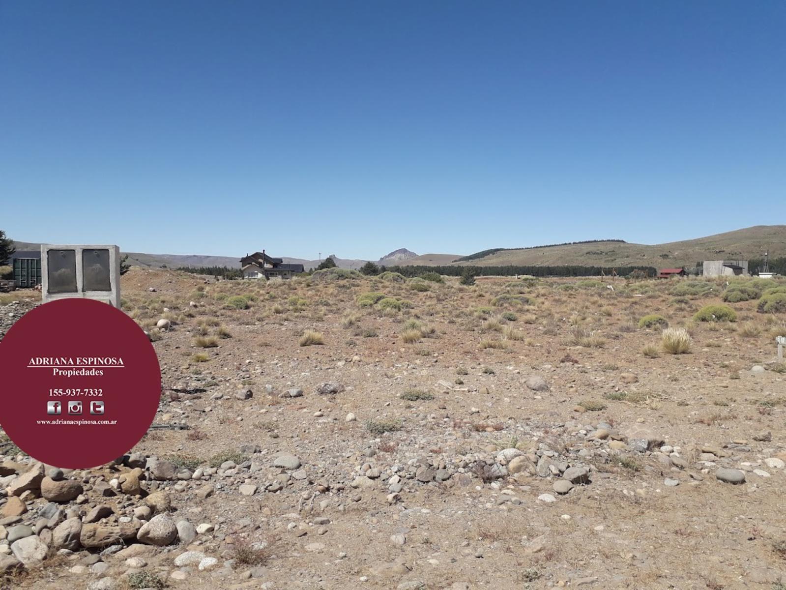 Ruta 40- Las Marías del Valle · Lacar — foto 18