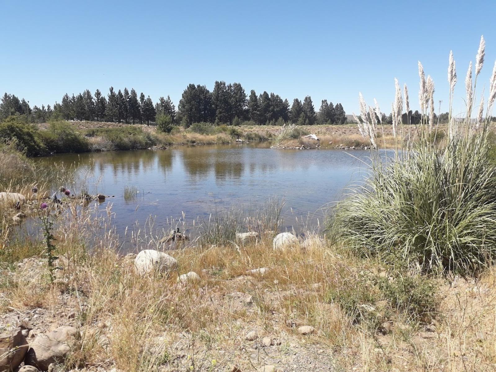 Ruta 40- Las Marías del Valle · Lacar — foto 4