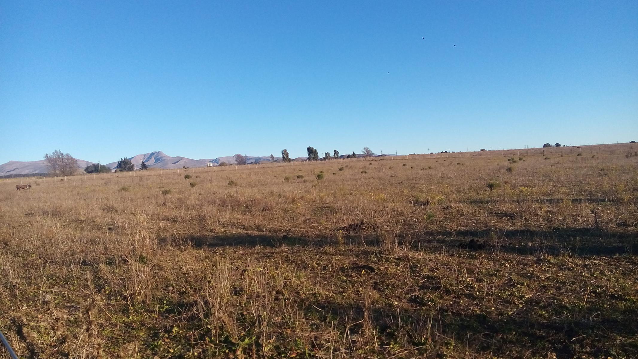 Excelente loteo de 20 x 50 en Sierra de la Ventana entre Saldungaray