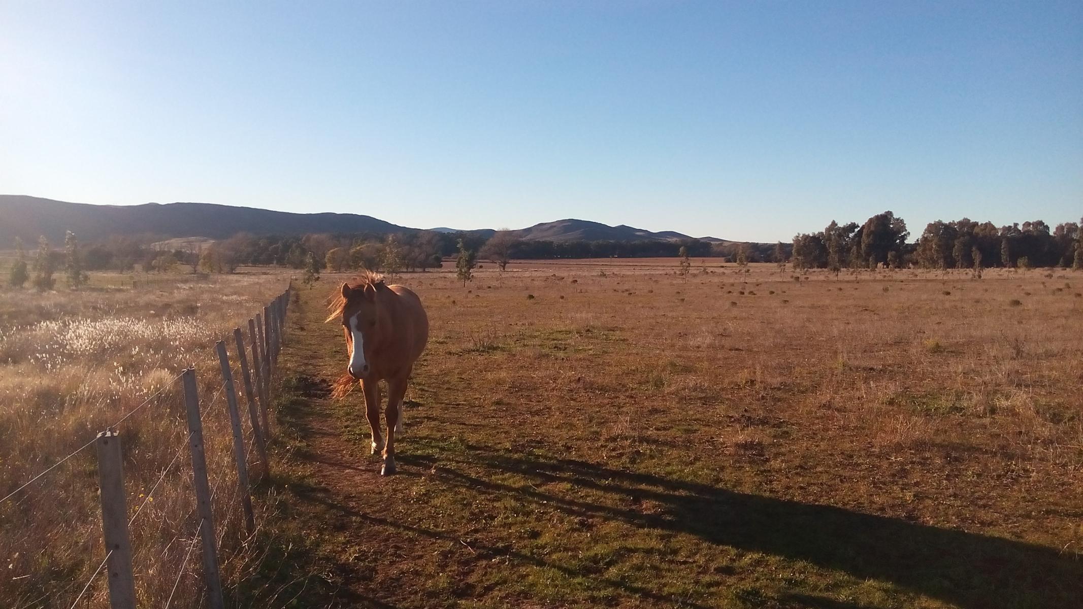 Sierra De La Ventana ruta 72 entre · Tornquist — foto 6