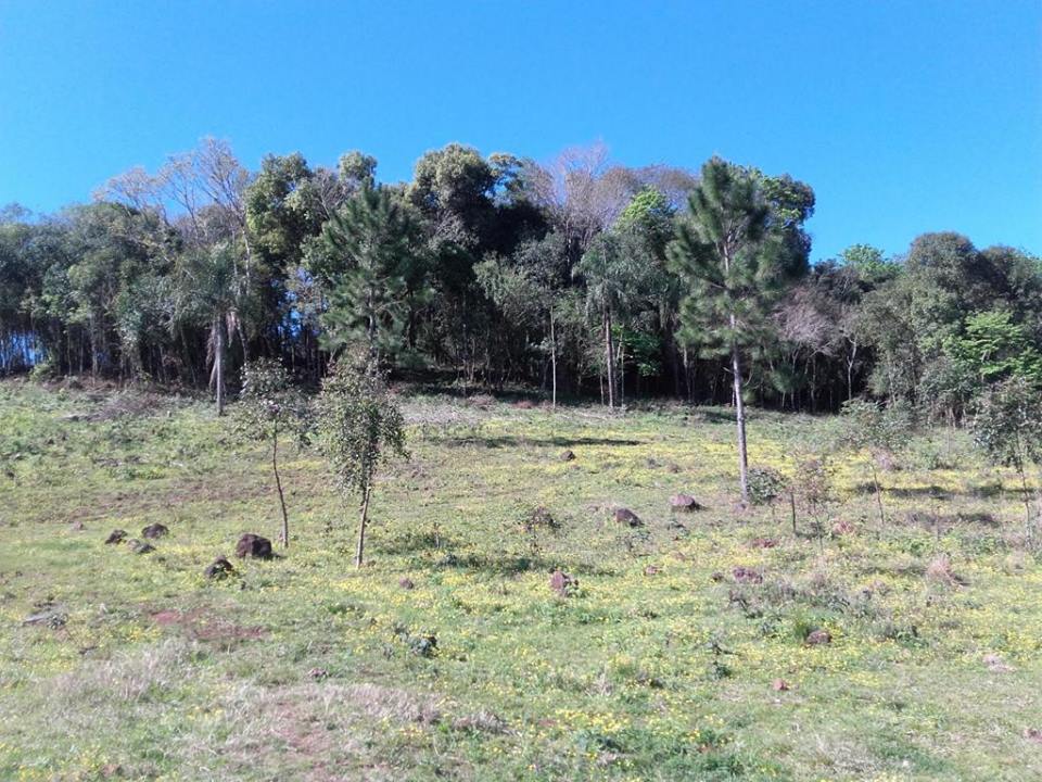 VENDO CHACRA 10 HAS - PROPIEDAD - LEANDRO N. ALEM - MISIONES.-