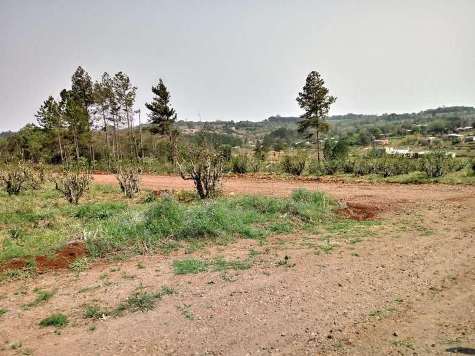 ¡Tu terreno propio en Guaraní está más cerca de lo que pensás