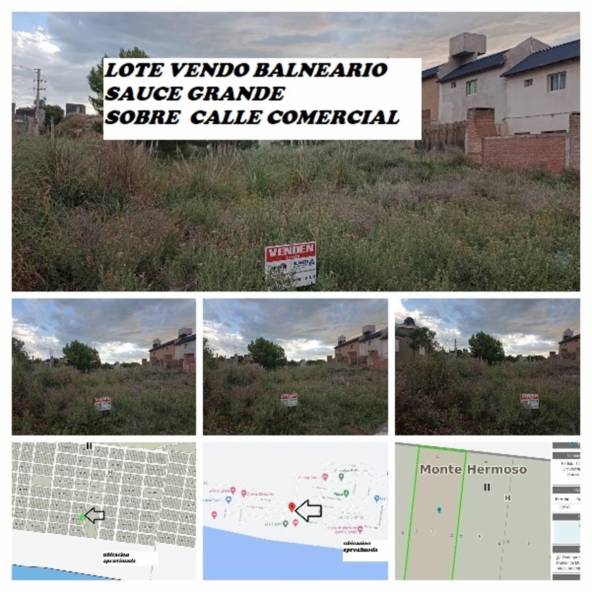 Venta lote sauce sobre calle Comercial