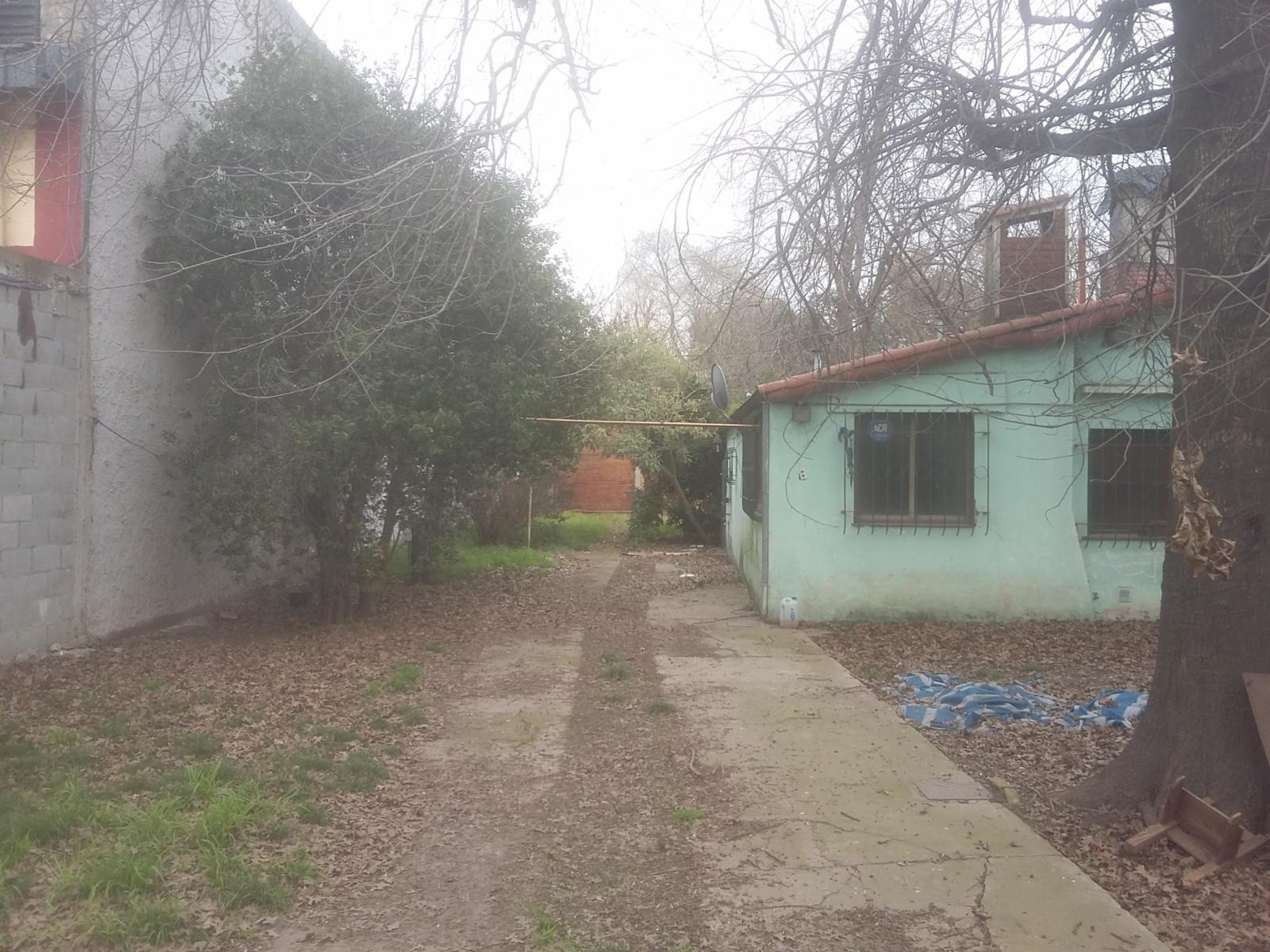 Graham bell 3015 · Moreno — foto 4