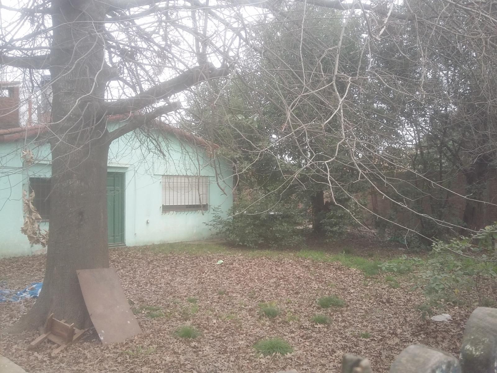 Graham bell 3015 · Moreno — foto 5