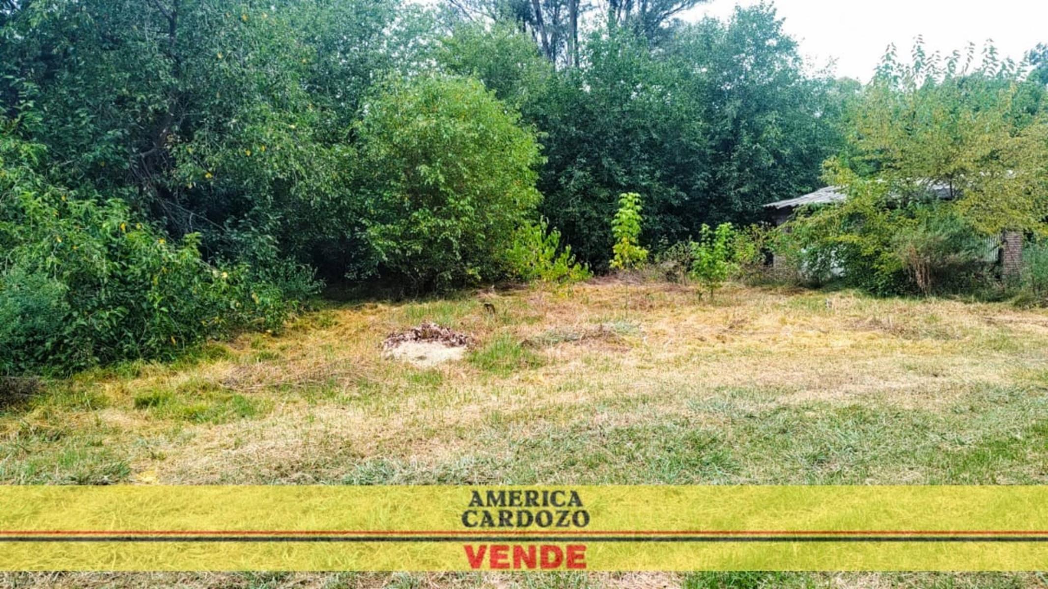 ANATOLE FRANCE · Moreno — foto 3