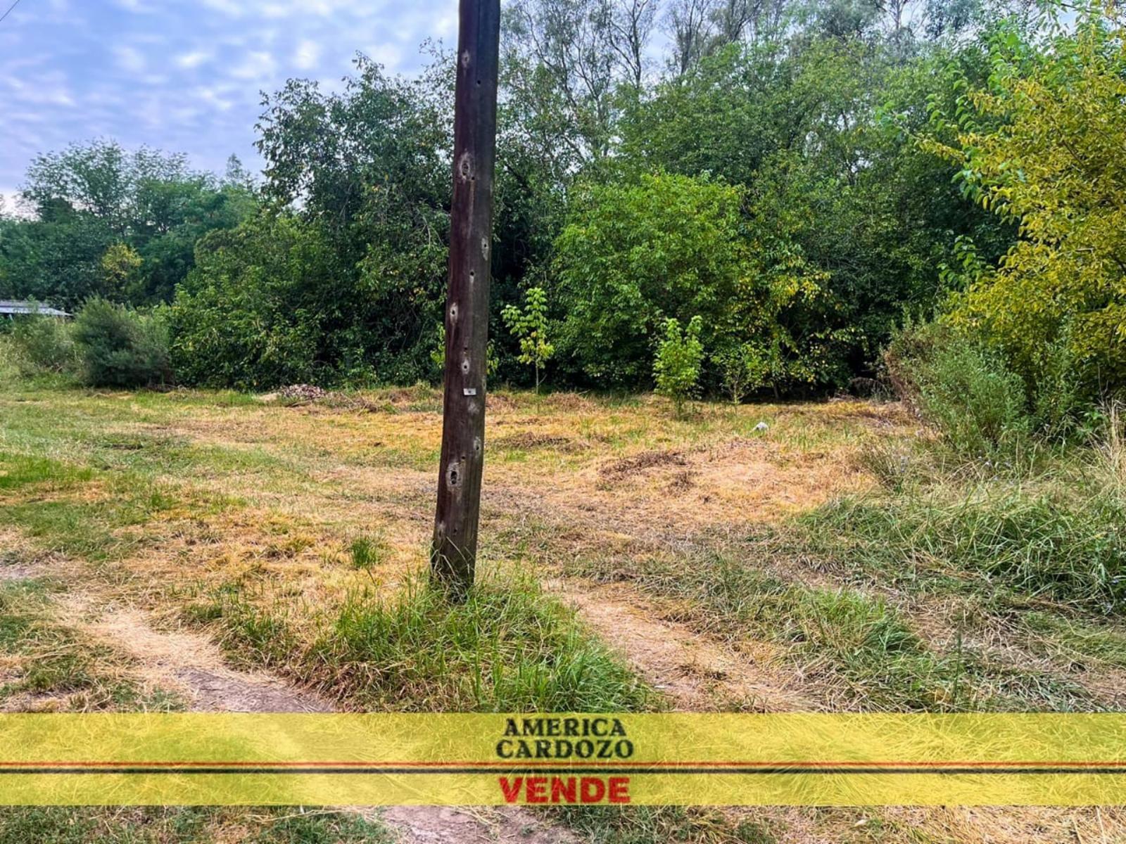 ANATOLE FRANCE · Moreno — foto 4