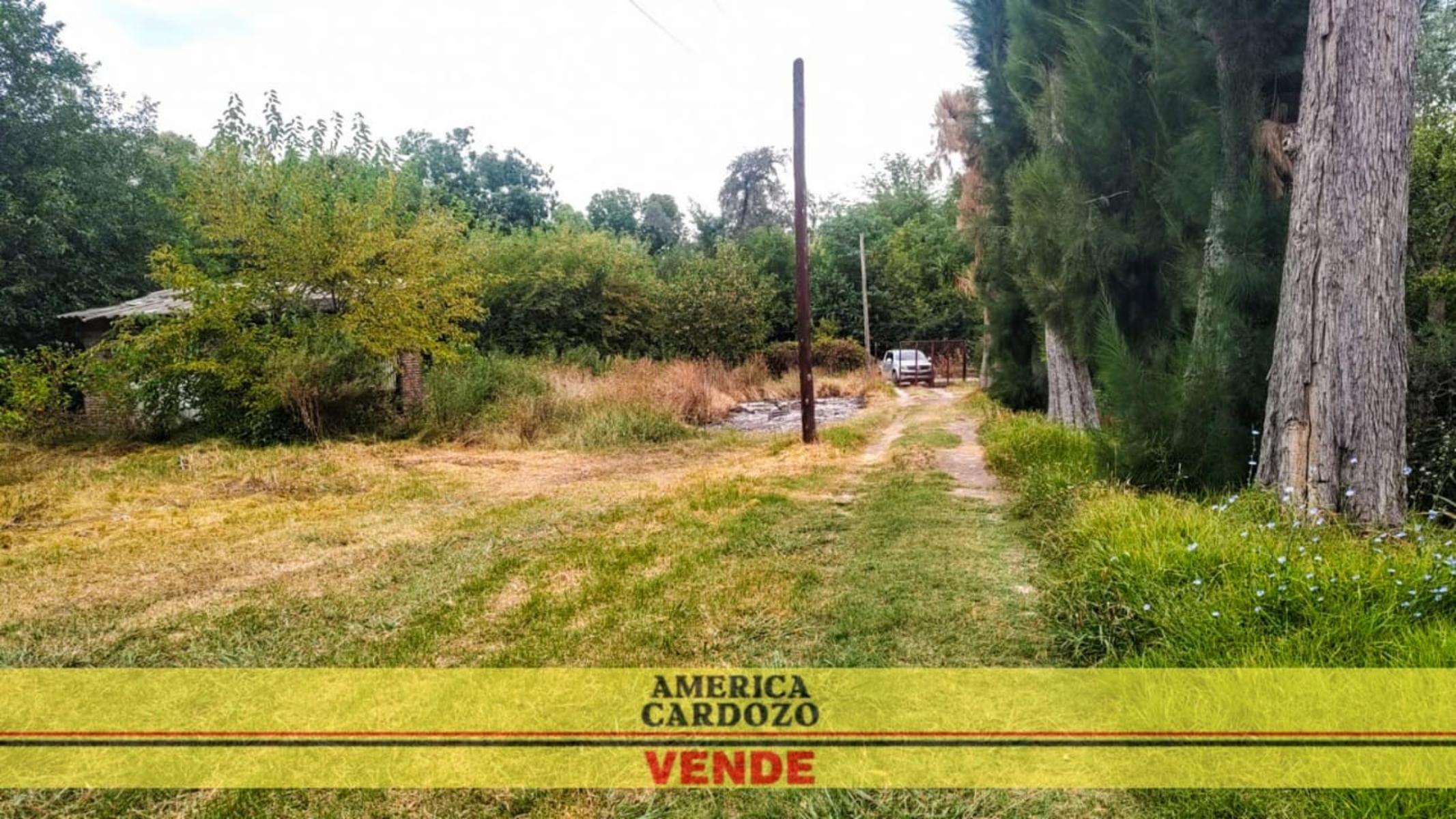 ANATOLE FRANCE · Moreno — foto 5
