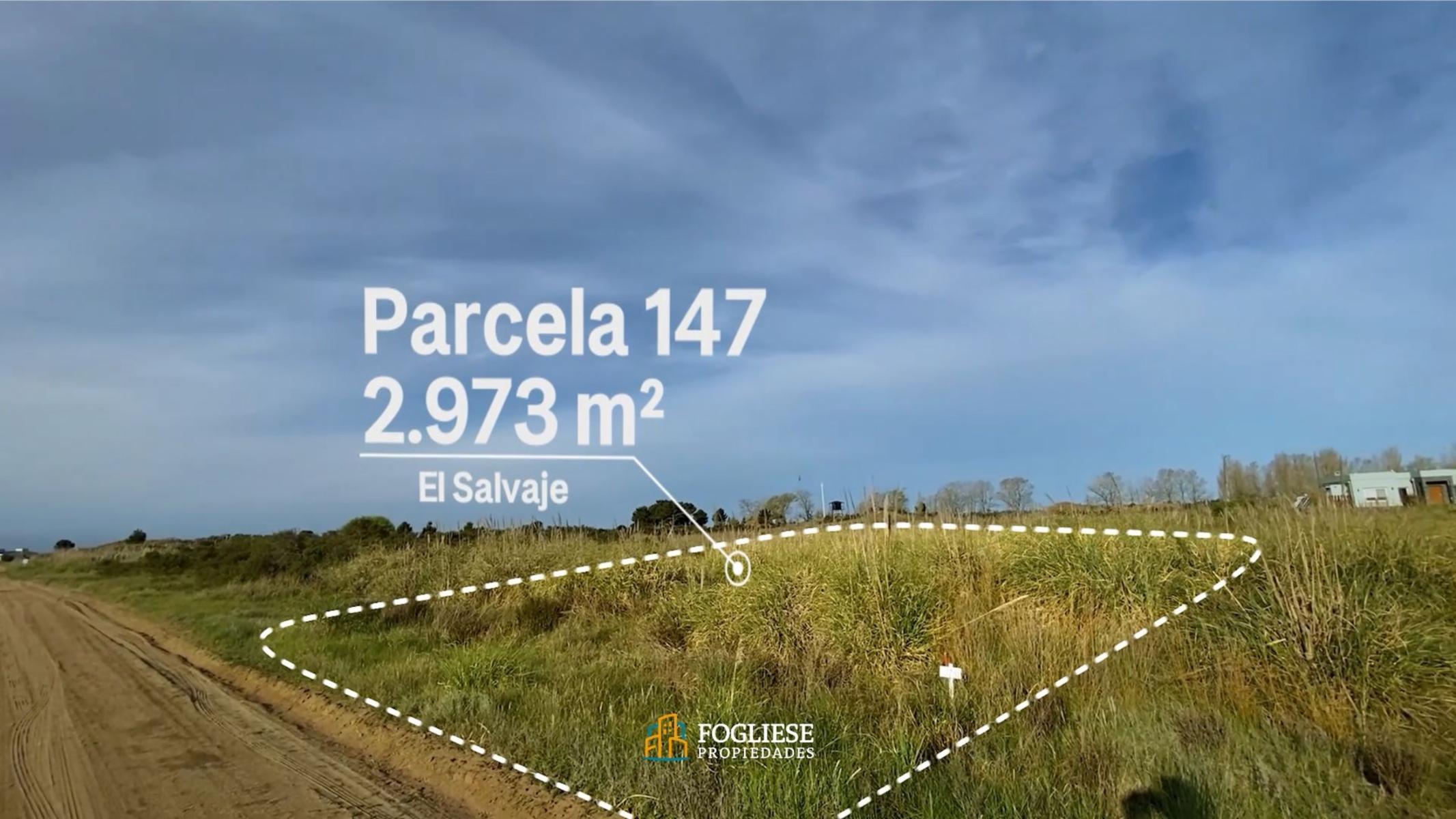 Etapa 1 · Villa Gesell — foto 4