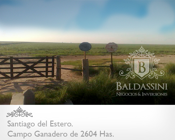 CAMPO MUY ARMADO DE 2604 HECTÁREAS EN EL DEPARTAMENTO DE RIVADAVIA - SANTIAGO DEL ESTERO - REPÚBLICA ARGENTINA. SE VENDE A TRANQUERA CERRADA.