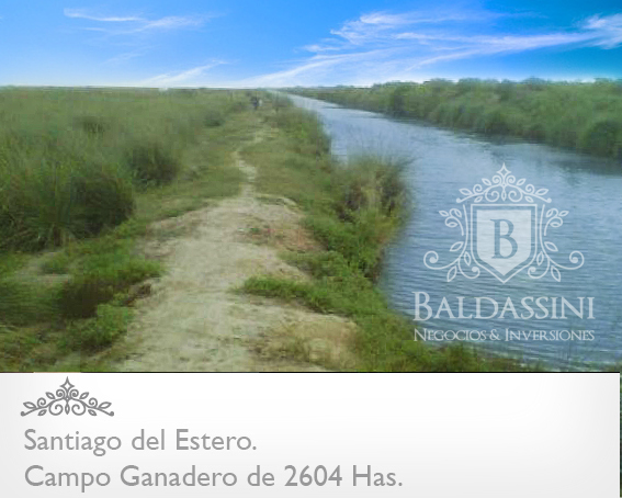 CAMPO DE 2604 HAS. EN RIVADAVIA · Rivadavia — foto 3