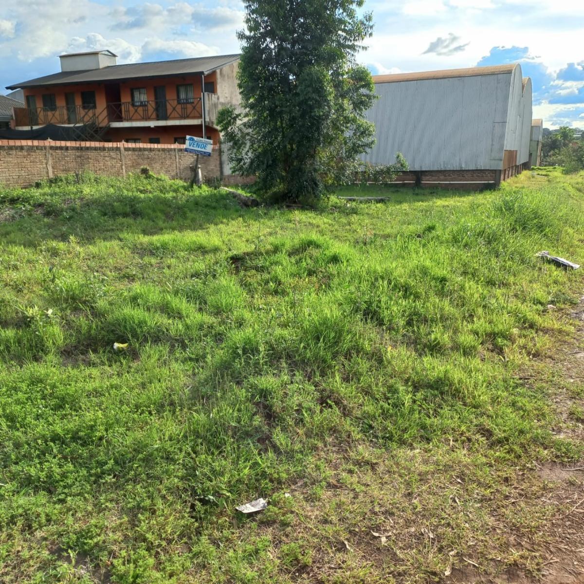 Av gendarmeria · Oberá — foto 3