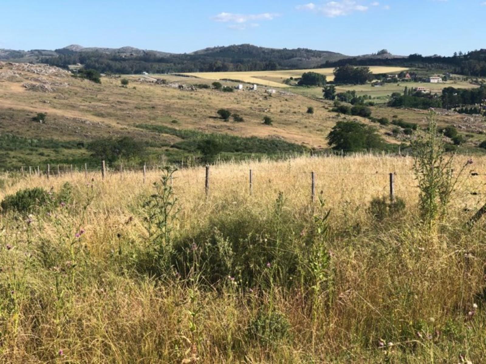 TANDIL · Tandil — foto 11